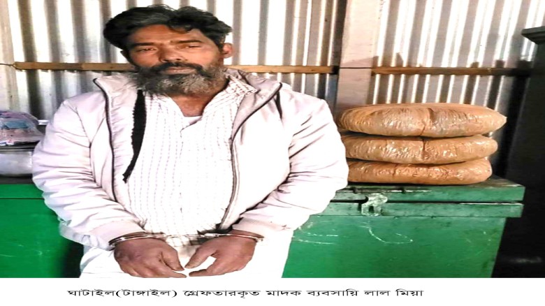 ঘাটাইলে ৬ কেজি গাঁজাসহ মাদক ব্যবসায়ী গ্রেফতার