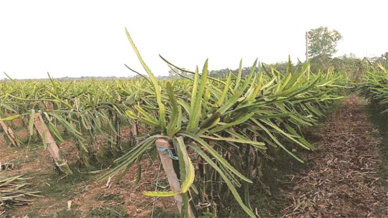 ছবির ক্যাপশন: 