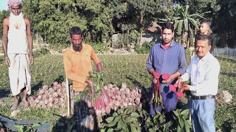 থাইল্যান্ডের রঙিন বিটরুট চাষে গৌরীপুরের কৃষক আজিজুলের বাজিমা