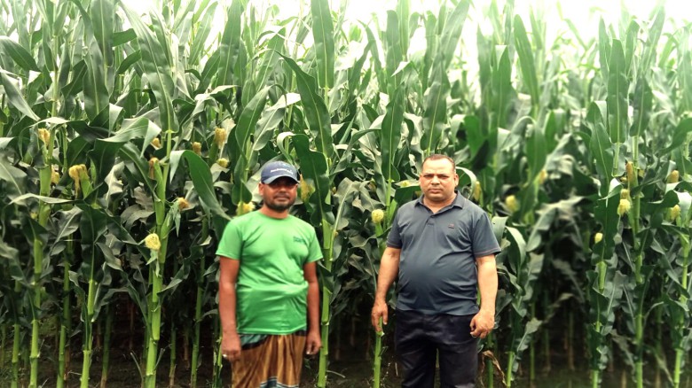 ছবির ক্যাপশন: 