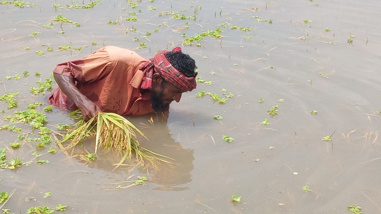 ছবির ক্যাপশন: 