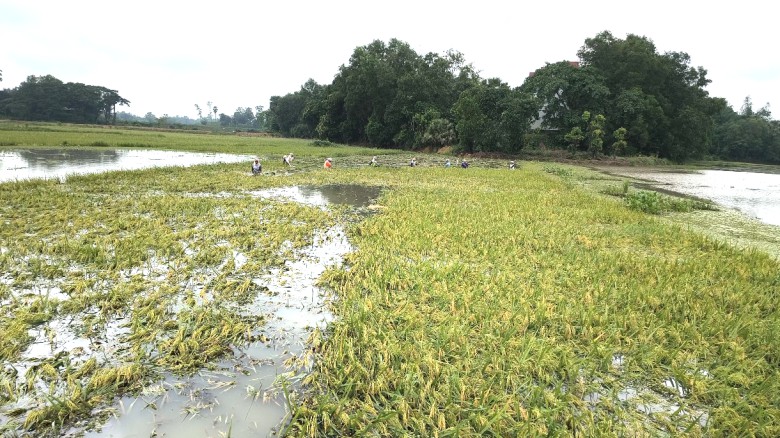 ছবির ক্যাপশন: 