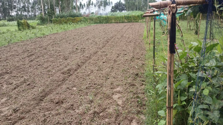 ছবির ক্যাপশন: 