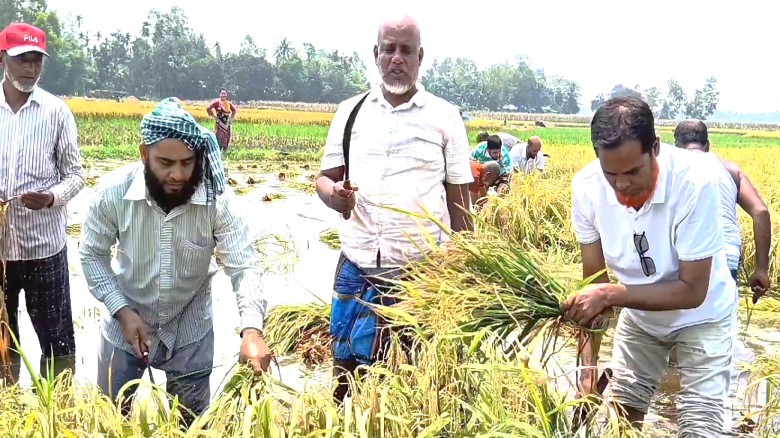 ছবির ক্যাপশন: 