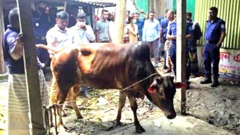ছবির ক্যাপশন: 