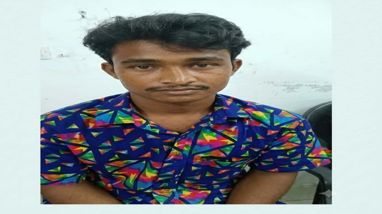 মির্জাপুরে ডাকাতির চেষ্টাকালে গণপিটুনিতে কালিহাতীর শুকুর আলী