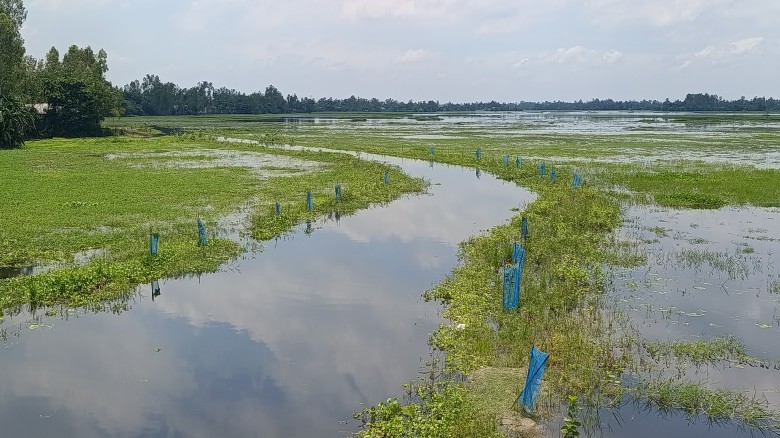 কালিহাতীতে খাল খনন প্রকল্পে অনিয়ম, দুর্ভোগ কাটেনি কৃষকের