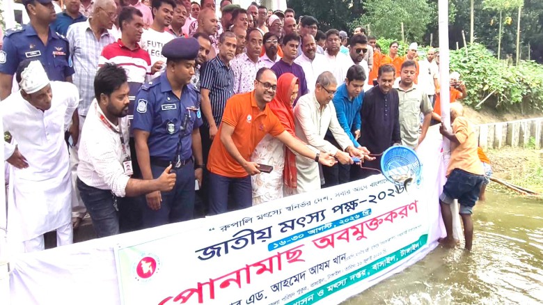 বাসাইলে জাতীয় মৎস্য পক্ষের উদ্বোধন, মাছের পোনা অবমুক্ত-আলোচন