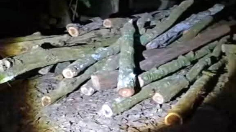 ছবির ক্যাপশন: 
