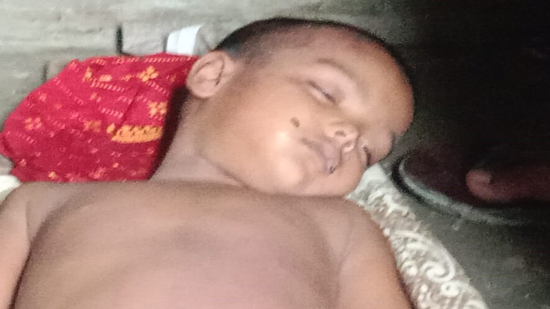 ছবির ক্যাপশন: 