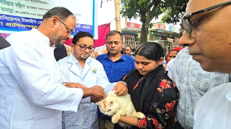 টাঙ্গাইলে বিনামূল্যে প্রাণি স্বাস্থ্য সেবা, টিকাদান ও গাছের 