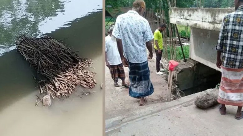 ছবির ক্যাপশন: 