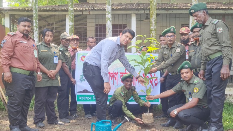 বাসাইলে আনসার ও ভিডিপি’র উদ্যোগে বৃক্ষরোপণ অভিযান