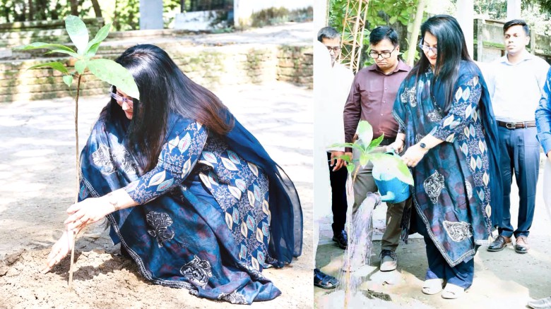টাঙ্গাইলের ১২ উপজেলায় একযোগে ৫ হাজার বৃক্ষরোপণ